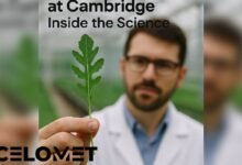 Arugula Researcher at Cambridge